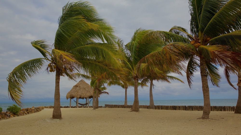 Royal Belize Hotel Thatch Caye Екстериор снимка